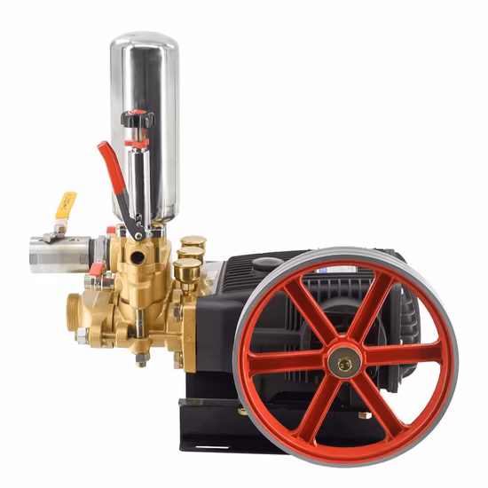 Kolbenpumpe, landwirtschaftlicher Motor, Gartenspritze, Pumpenset, Hochdruckreiniger-Pumpe, Triplex-Kolbenpumpe (PS150H)