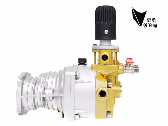 25 runder verchromter Kolben, Power-Sprühpumpenmotor, 168/170 Benzinmotor